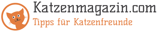 banner katzenmagazin